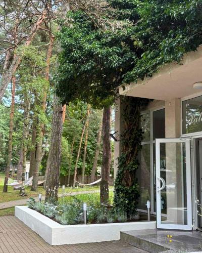 a building with a tree in front of it at Palangos Dailė in Palanga