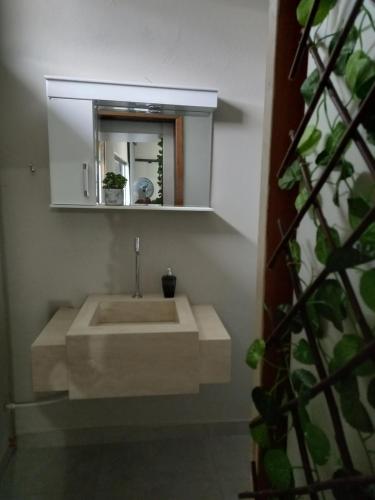a bathroom with a sink and a mirror at Conforto em Pomerode in Pomerode