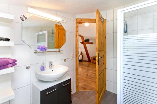 a bathroom with a sink and a mirror at Ferienwohnung Meeresbrise in Groß Kordshagen