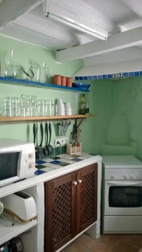 a kitchen with green walls and a stove top oven at La Muralla in Yunquera
