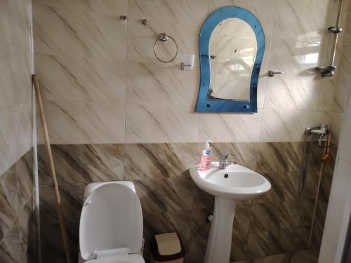 a bathroom with a toilet and a sink and a mirror at Giomari in Shekhvetili