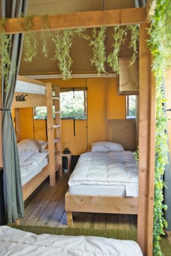 two bunk beds in a room with trees at Boeren glamping De Ruif De Peppelhoeve in Stoutenburg