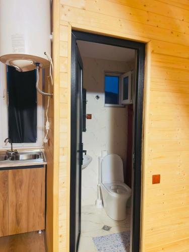 a bathroom with a toilet and a sink at Pine House Borjomi , Mountain View in Borjomi