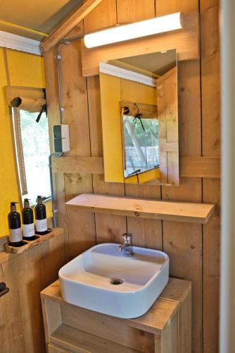 a bathroom with a sink and a mirror at Boeren glamping De Ruif De zilverberk in Stoutenburg