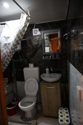 a small bathroom with a toilet and a sink at Forest Cabin Ponikve in Čajniče