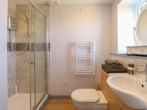 a bathroom with a shower and a toilet and a sink at Snowy Owl Barn in Shipdham