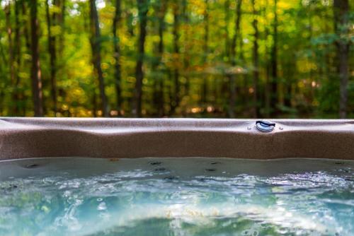 a bath tub filled with water in front of a forest at Luxury ADK Retreat Near Whiteface, Lake Placid in Jay