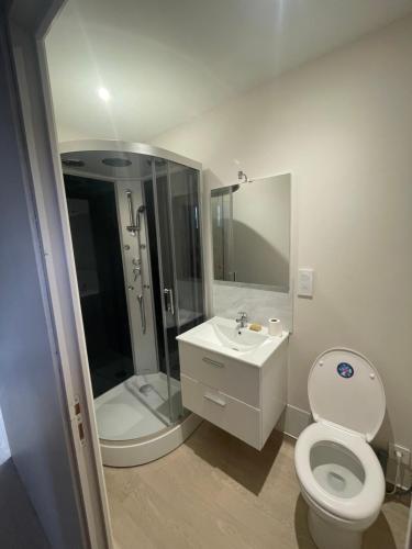 a bathroom with a toilet and a sink and a shower at appartement de la voie verte in Hauterive