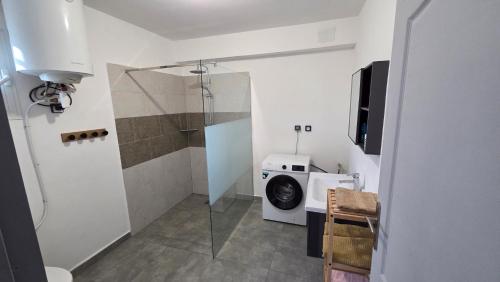 a bathroom with a shower and a washing machine at le Chant des vagues 1 in Saint-Philippe