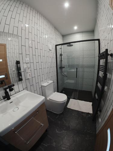 a bathroom with a shower and a toilet and a sink at Cosy et Calme in Cholet