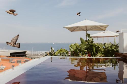two birds flying over a swimming pool with an umbrella at Memmo Alfama - Design Hotels in Lisbon