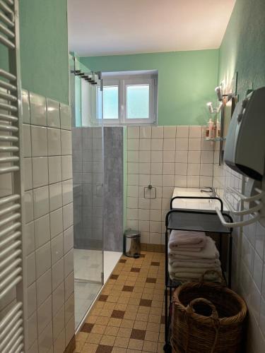 a bathroom with a shower and a towel rack at Maison familiale 10 pers à St Setiers in Saint-Setiers