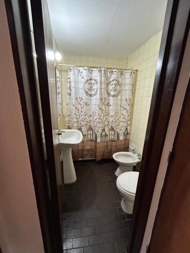 a bathroom with a sink and a toilet and a shower curtain at Magnolia Tempo in Esquel