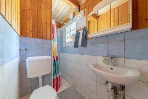 a bathroom with a toilet and a sink at 3 Rivers Beehive cabin on a farm in Radovljica