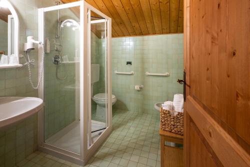a bathroom with a shower and a toilet and a sink at Meublè Siesle in Sauris