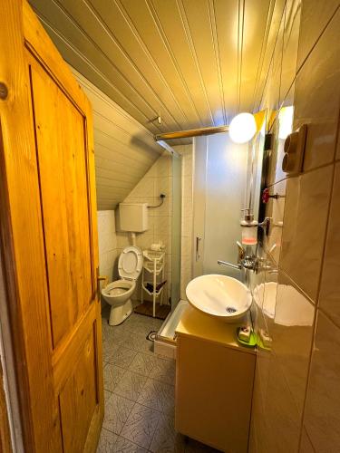 a small bathroom with a toilet and a sink at VILA PAVLOVIC in Kopaonik