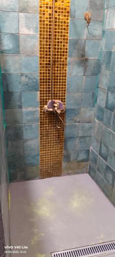 a shower in a room with at Lindas Vistas in Tías