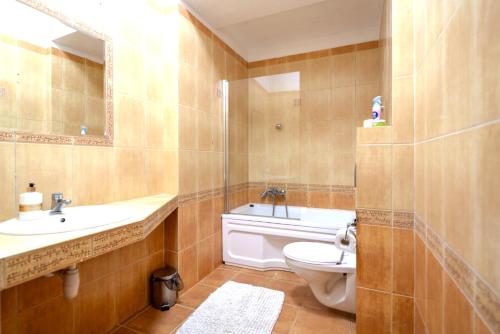a bathroom with a toilet and a sink and a mirror at Detlafówka Kaszubski Resort in Dębki
