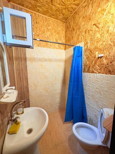 a bathroom with a sink and a toilet and a shower at Otto's House in Ambrolauri