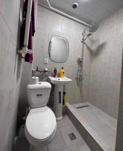 a bathroom with a toilet and a sink at City Center in Vanadzor