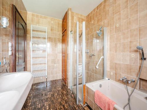 a bathroom with a tub and a shower and a sink at Le Cheval Blanc in Ruederbach