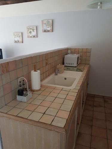 a kitchen counter with a sink and a microwave at La maison multicolore in Salon-de-Provence