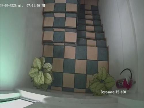 a tile staircase with green leaves on the wall at Parque Residencial - Covacha - Sótano - Bunker in Mexico City