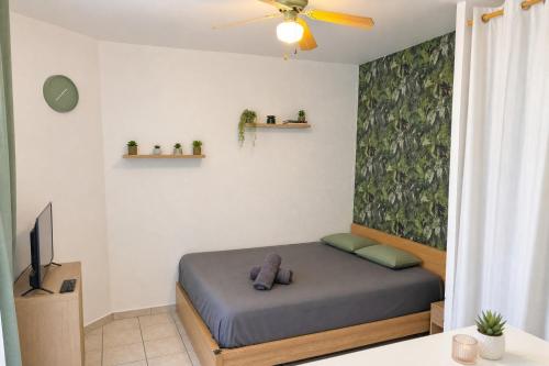 Charmant appartement - Cannes