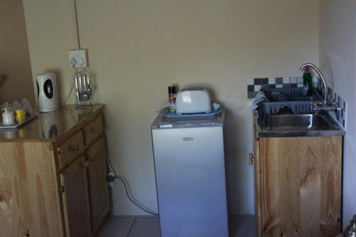 a kitchen with a sink and a small refrigerator at Denmark Farm Stay in Cradock