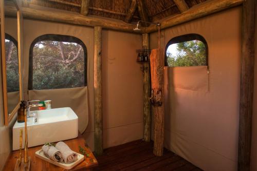 a bathroom with a sink and two windows at Addo Elephant Safari Lodge - Bellevue Forest Reserve in Paterson
