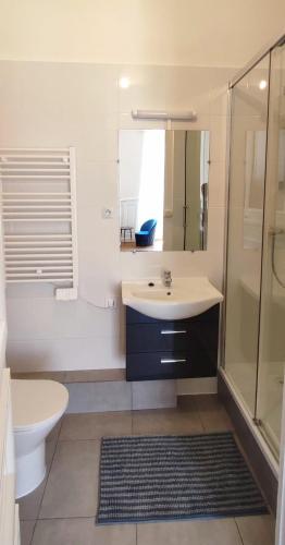 a bathroom with a sink and a toilet and a shower at Particulier & Pro - 4 chambres - 8 pers - Jaude avec parking privée in Clermont-Ferrand