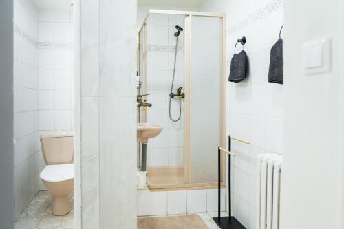 a bathroom with a shower and a toilet at Nature Apartment Karlovy Vary Kolová in Karlovy Vary