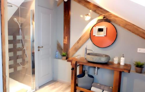 a bathroom with a sink and a mirror on the wall at Gîte La Maison Du Parc in Argilly