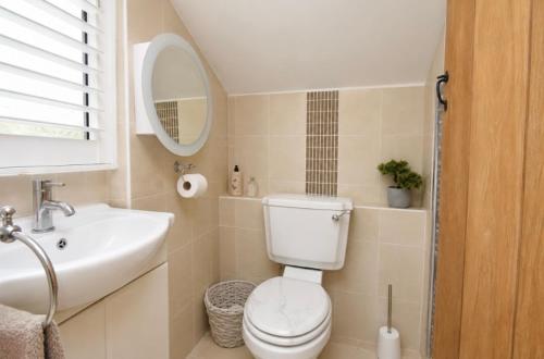 a bathroom with a toilet and a sink and a mirror at Lennon cottage in Hale