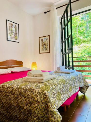 a bedroom with two beds and a large window at MULINO DELLA VALLE in Cittiglio