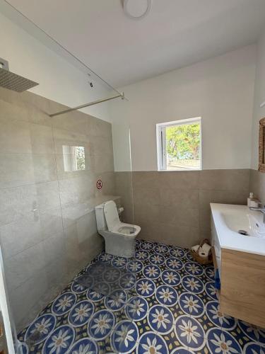 a bathroom with a toilet and a sink at Pink House Eretria in Eretria
