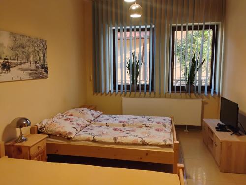 a bedroom with a bed and a desk and two windows at Willa Aronia in Szczawnica