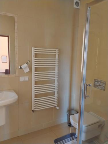 a bathroom with a shower and a toilet and a sink at Willa Aronia in Szczawnica