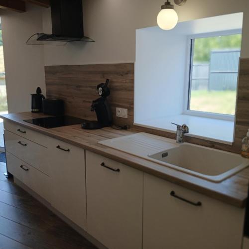 a kitchen counter with a sink and a window at Le Nolan in Cublize