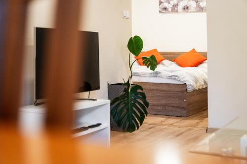 a living room with a bed and a television at Nature Apartment Karlovy Vary Kolová in Karlovy Vary