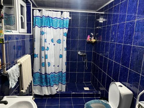 a blue tiled bathroom with a shower and a toilet at Nazik Guest House in Barskoon