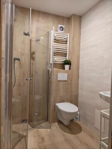 a bathroom with a shower and a toilet and a sink at ekoLOKUM in Ostróda
