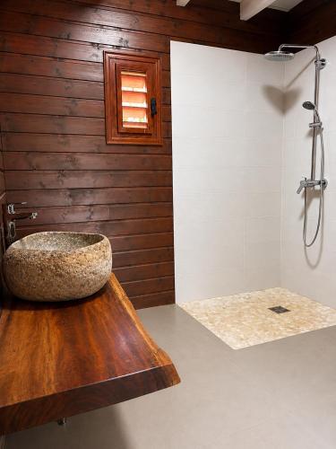 a bathroom with a stone sink on a wooden wall at La Baie des Villas in Deshaies