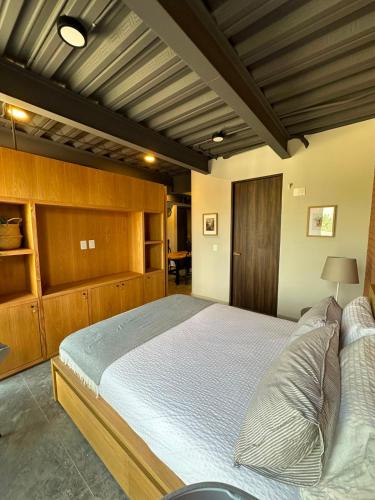 a bedroom with a large bed and wooden cabinets at Tradere in Guadalajara