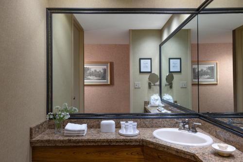 a bathroom with a sink and a large mirror at The Hotel Captain Cook in Anchorage