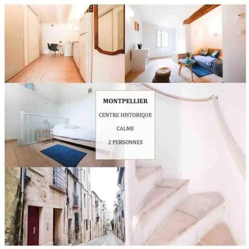 Duplex calme & lumineux Montpellier centre