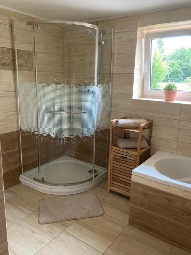 a bathroom with a shower and a tub and a sink at Chalupa Na konci Lhoty in Pluhův Žďár