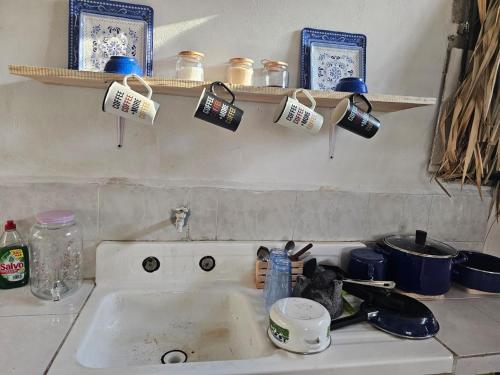 a kitchen counter with a sink and cups on a shelf at Casa el Monte in Valladolid