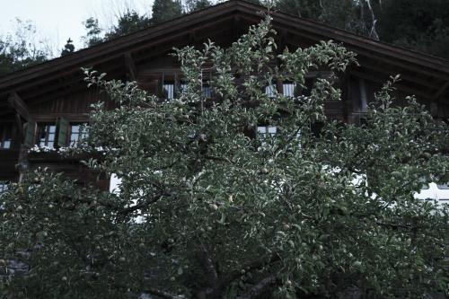 Jardí fora de Haus Mannenberg
