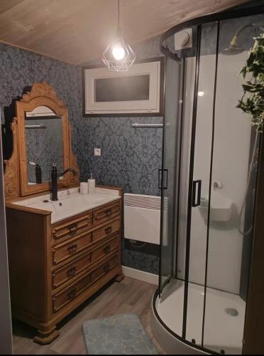 a bathroom with a sink and a shower at L Empreinte in Saint-Juvin